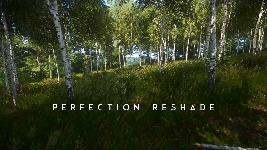 Perfection Reshade