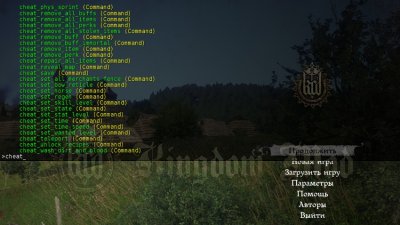 Подробнее о Читы - Консольные команды