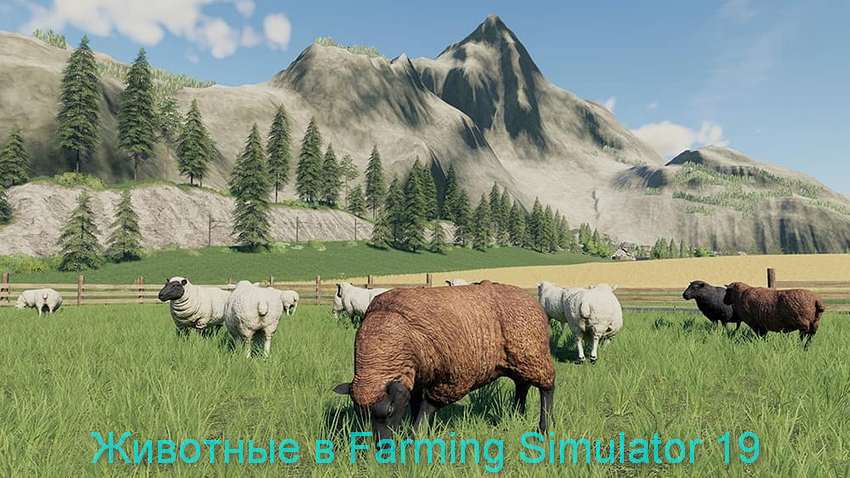 Какие животные будут в Farming Simulator 2019