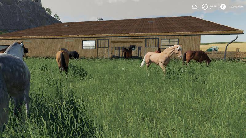 Horse Stable With Boxes