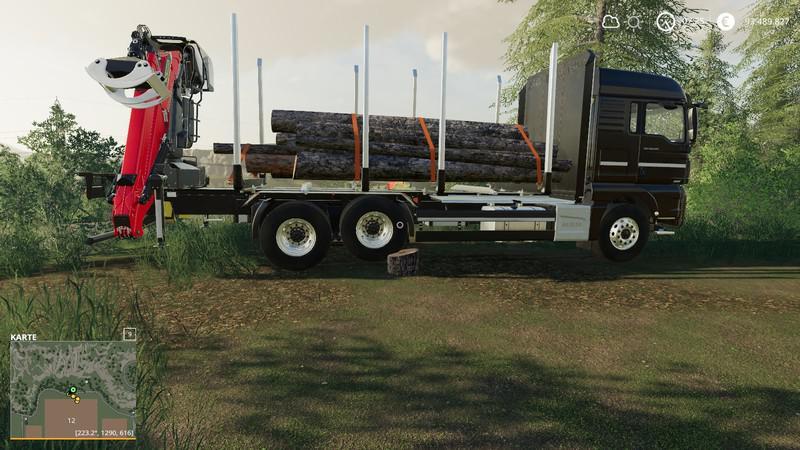 MAN Forst LKW
