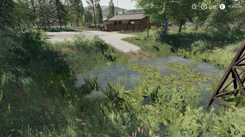 Fenton Forest By Stevie