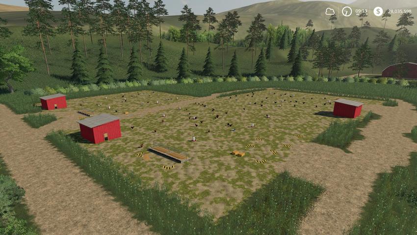 Placeable Free Range Chickens