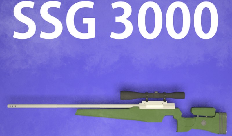 SSG 3000