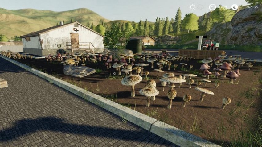 Mushroom Production