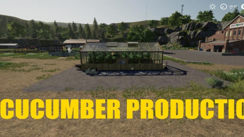 Cucumber Production