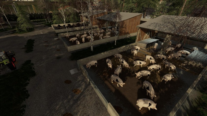 Outdoor Piglet Husbandry