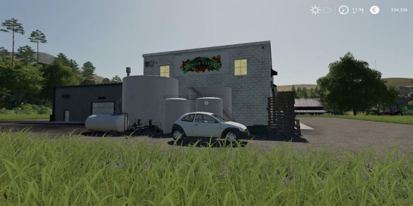 Olive Oil Production