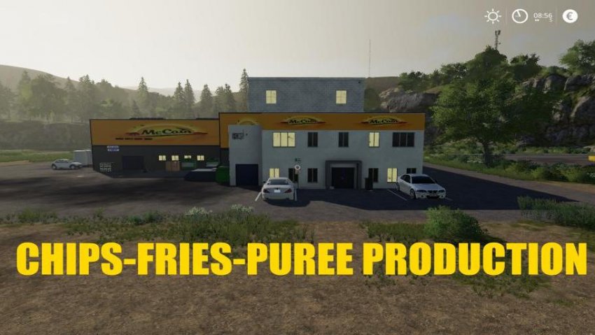 Chips production