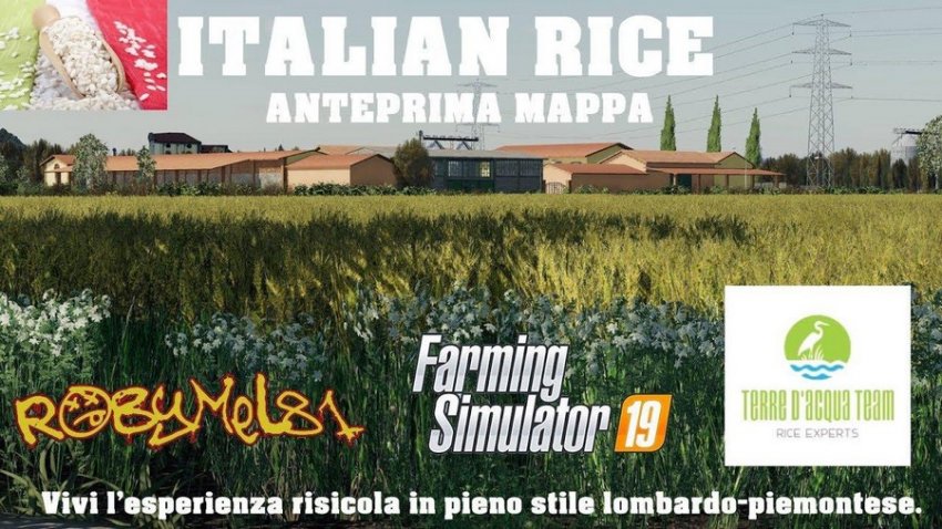 Italian Rice