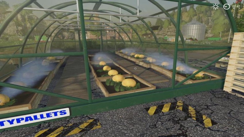 Melon and Watermelon Production