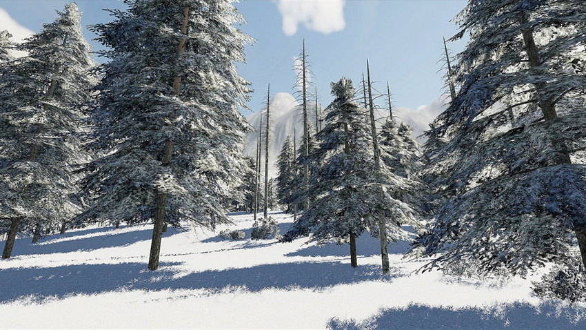 Winter Fortitude