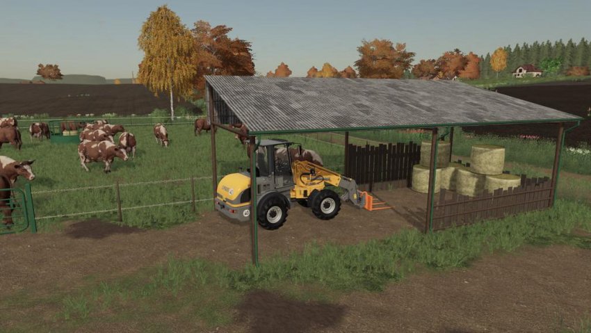 Outdoor Cow Pasture