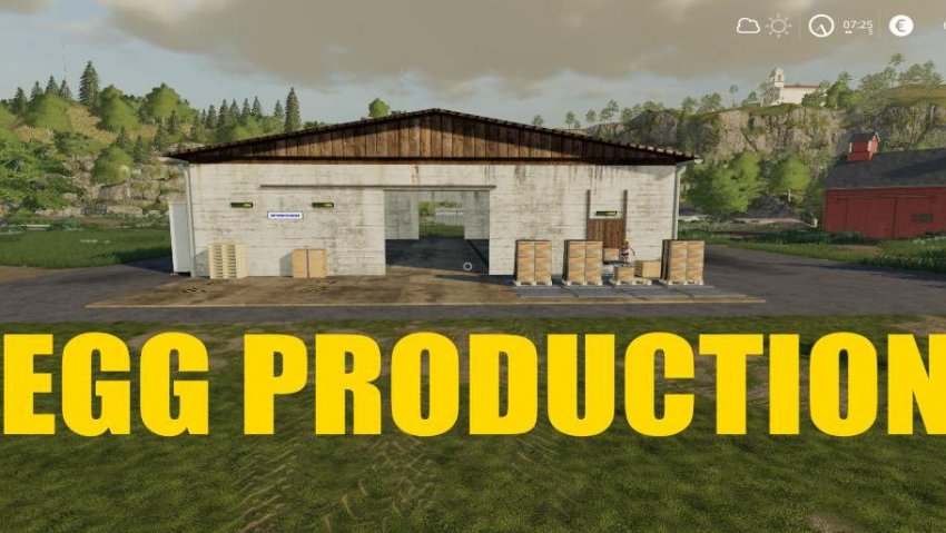Egg Production