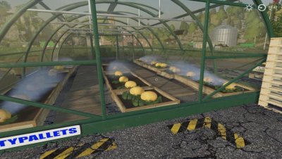 Подробнее о Melon and Watermelon Production