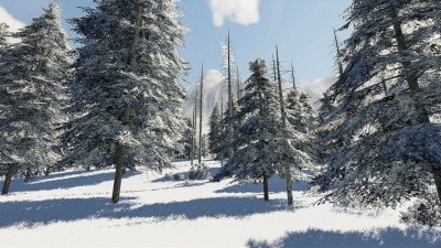 Подробнее о Winter Fortitude