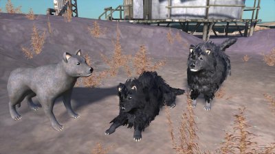 Подробнее о Семейная собака / Family Dog
