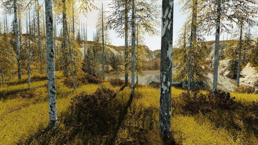 Autumn Valley Logging