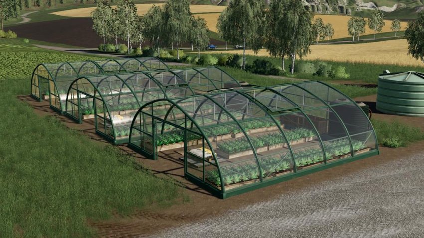 Onion Greenhouses