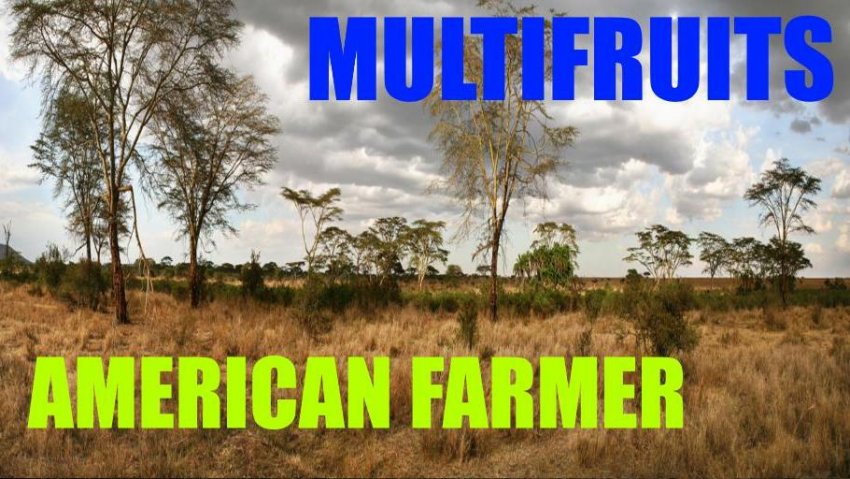 American Farmer